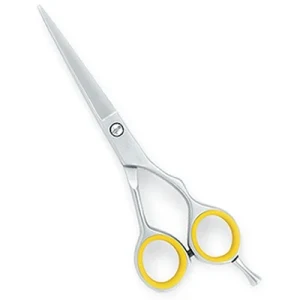 Barber Scissor