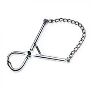 Bull Holder
