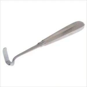 Doyen raspatories adult