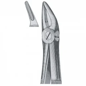 Extracting Forcep
