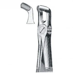 Extracting Forcep