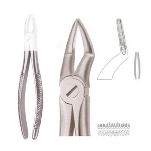 Extracting Forceps