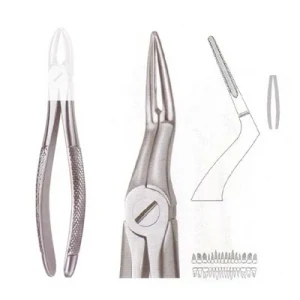 Extracting Forceps