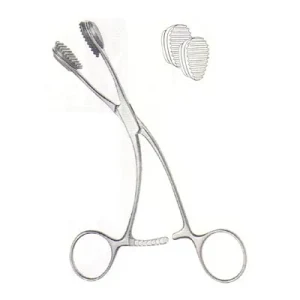 Oral Instruments