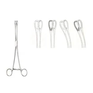 Oral Instruments