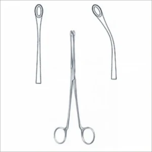 Randall Kidney