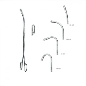 Randall Kidney