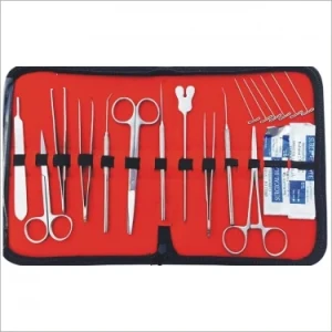 students Dissecting sets