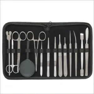 students Dissecting sets
