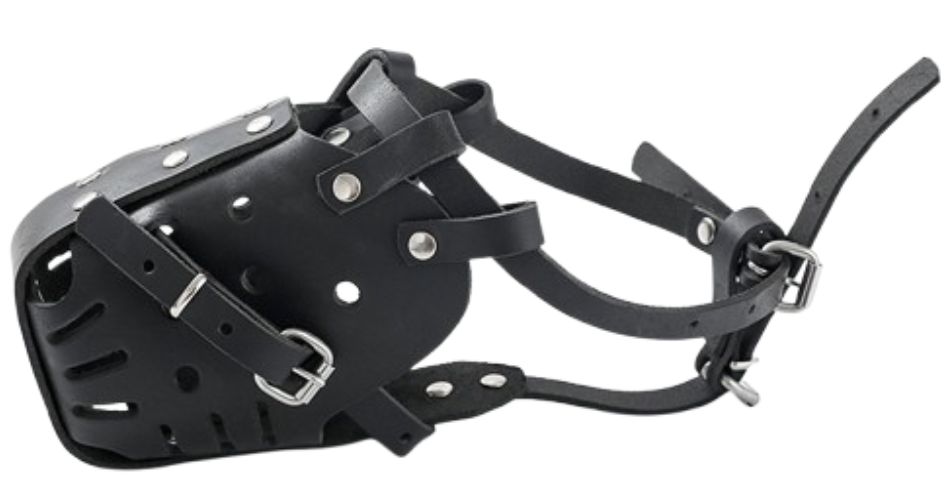 Leather Dog Muzzles - Image 2