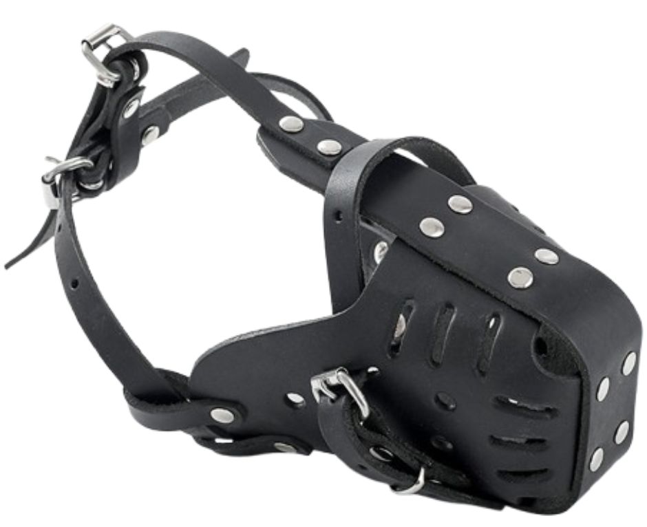 Leather Dog Muzzles - Image 3