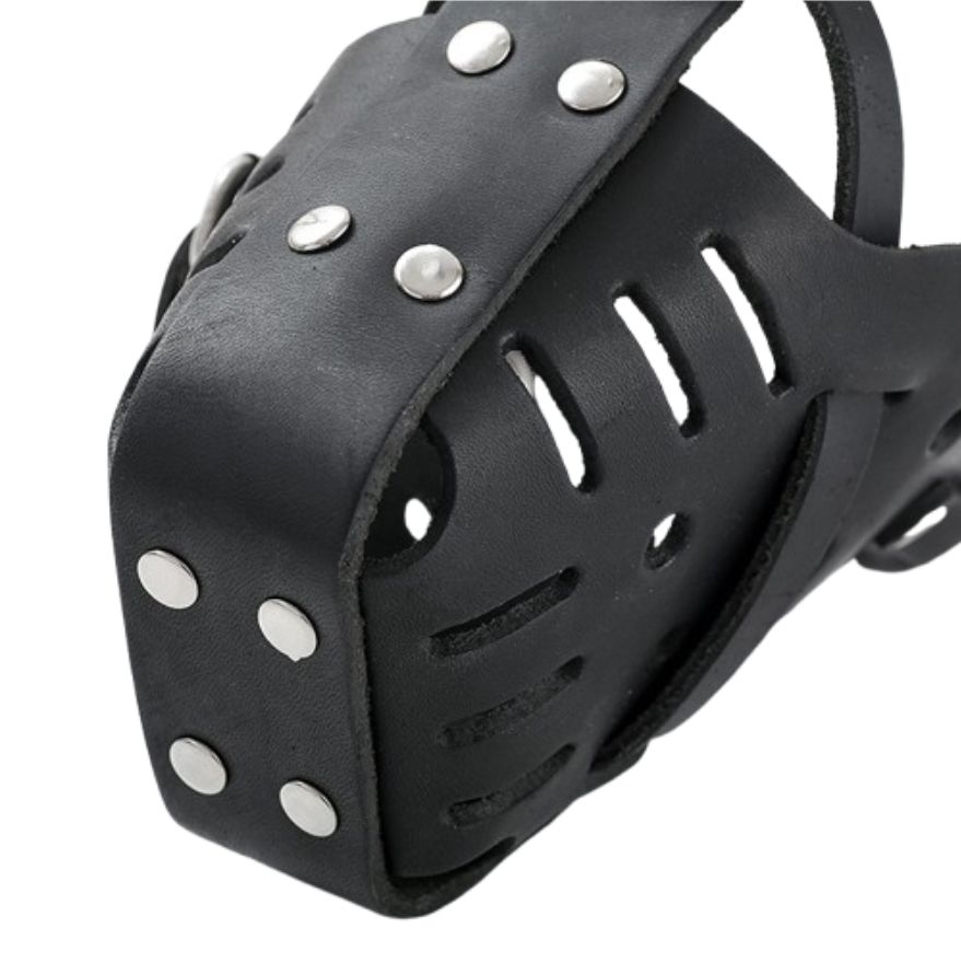Leather Dog Muzzles - Image 4