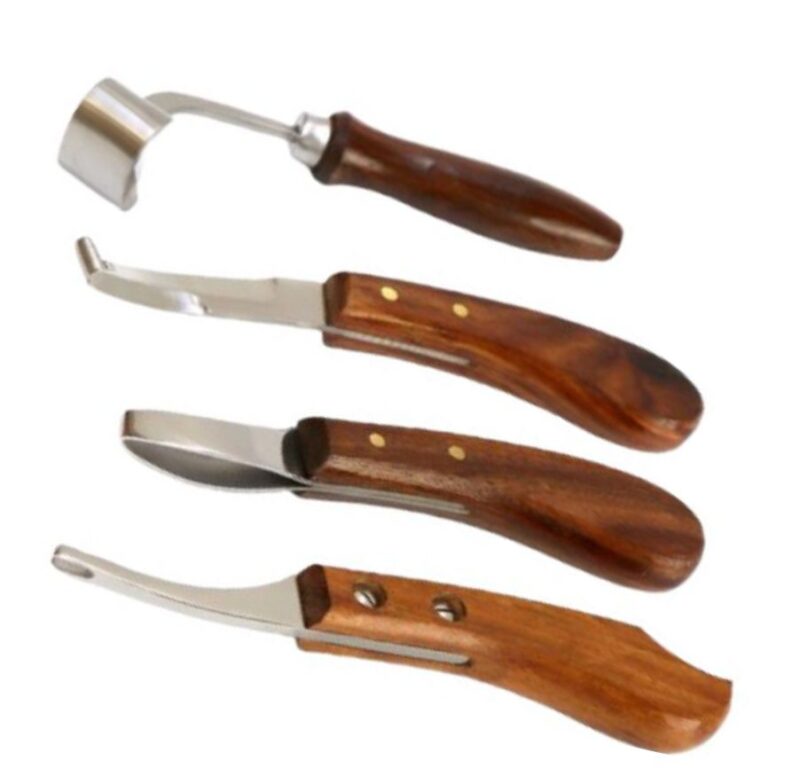 Farrier Hoof Knife 4-pcs Kit Stainless Steel Blades