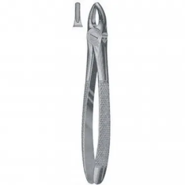 Fig1 Extracting Forceps
