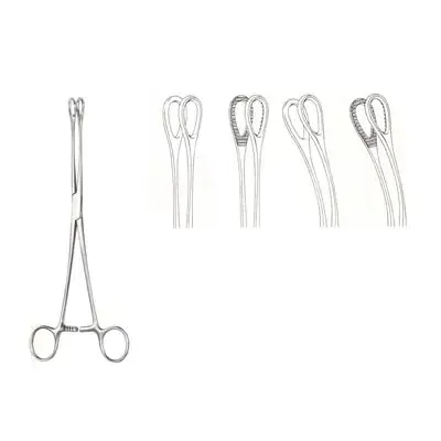 oral_instruments006