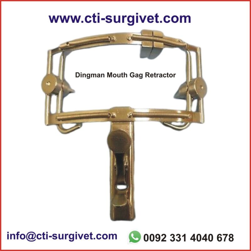 Dingman Mouth Gag Retractor – Veterinary Surgical Instrument